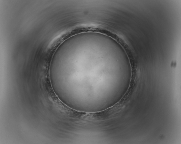 X0000113980967200910021133
