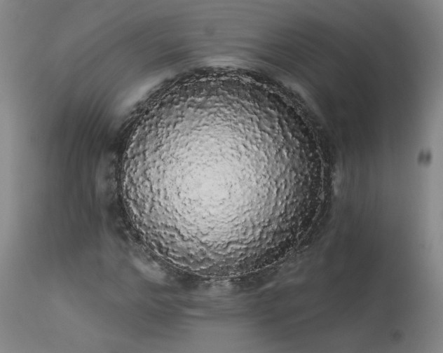 X0000113980968200910021133