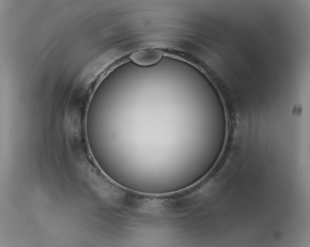 X0000113980969200910021133