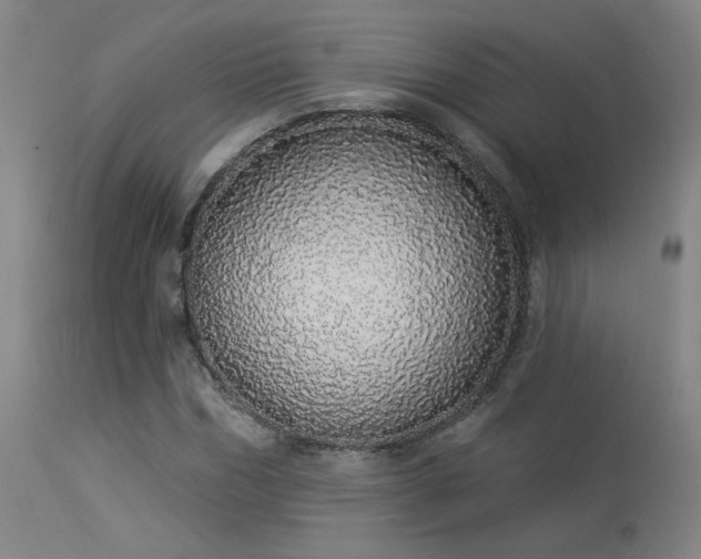 X0000113980970200910021133