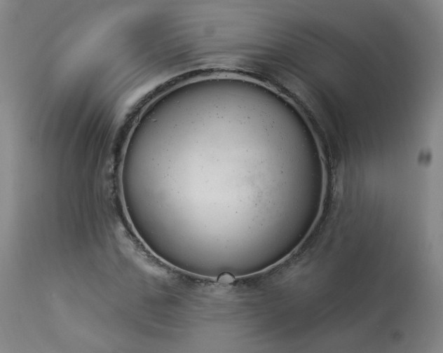 X0000113980971200910021133