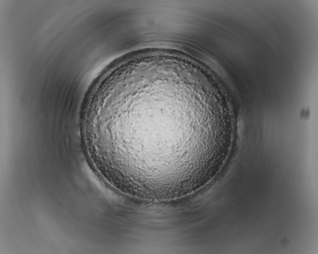 X0000113980972200910021133