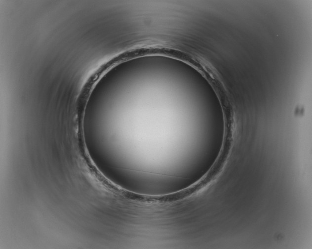 X0000113980973200910021133