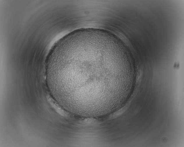 X0000113980974200910021133