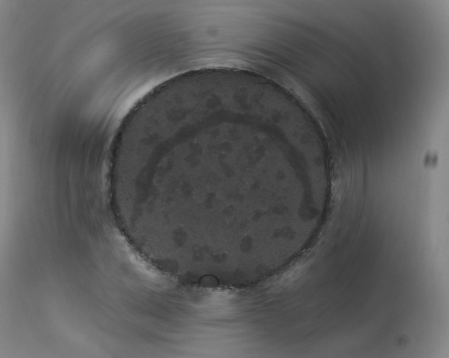 X0000113980975200910021133