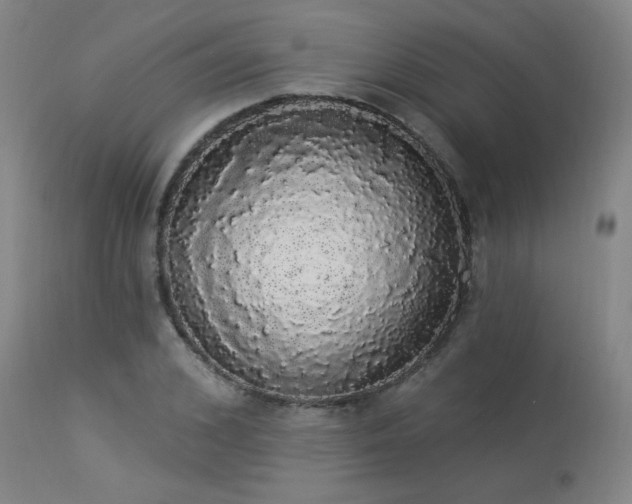X0000113980976200910021133