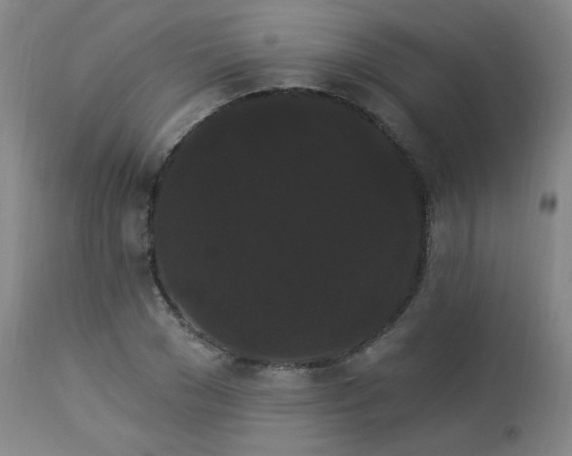 X0000113980977200910021133