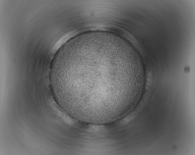 X0000113980978200910021133