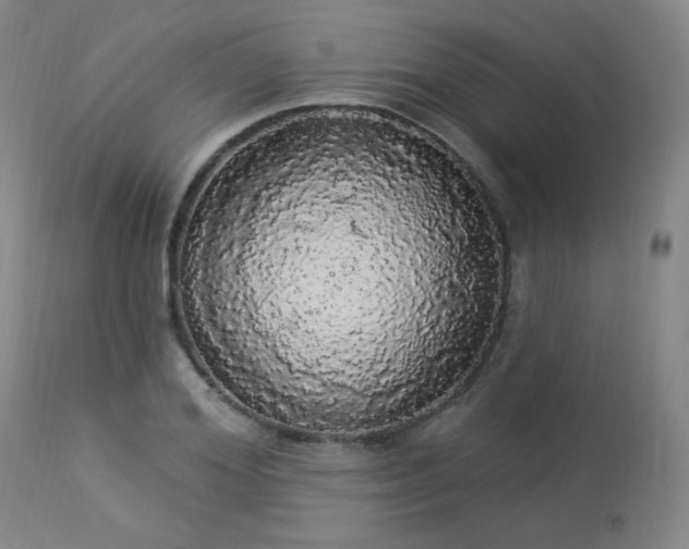 X0000113980980200910021132