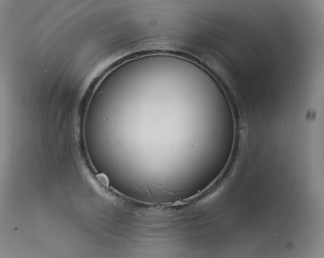 X0000113980981200910021132