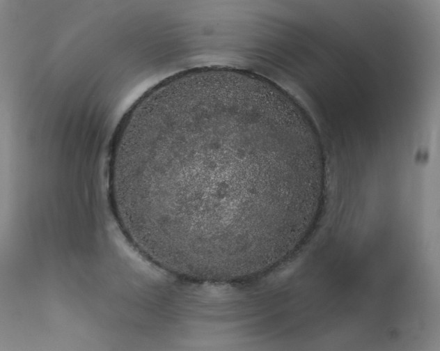 X0000113980983200910021132