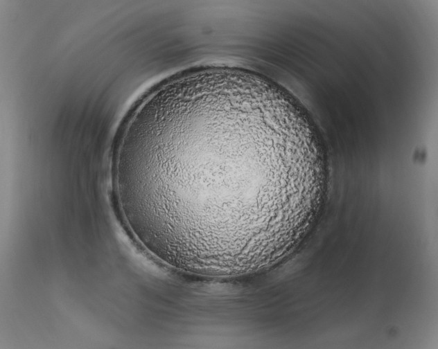 X0000113980984200910021132