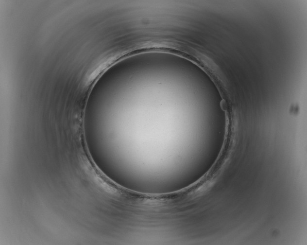 X0000113980985200910021132