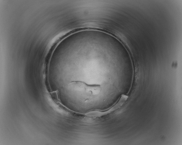 X0000113980987200910021132