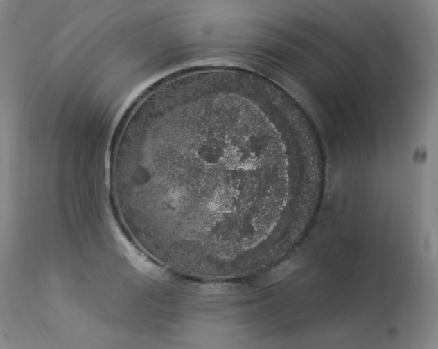 X0000113980988200910021132