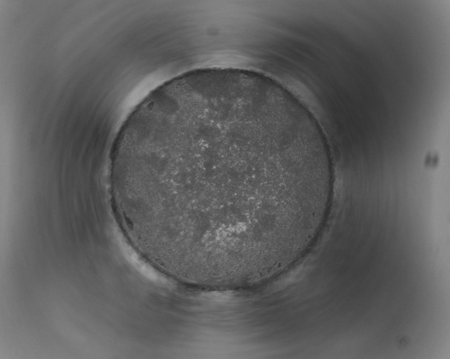 X0000113980990200910021132