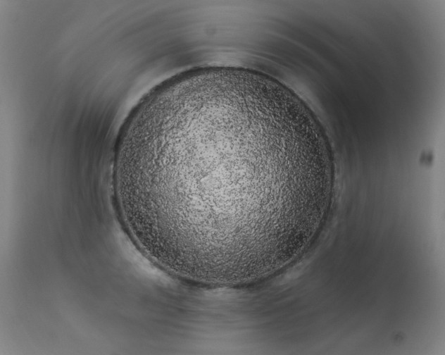 X0000113980992200910021132
