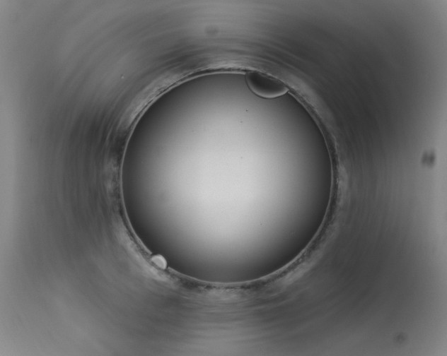 X0000113980993200910021132