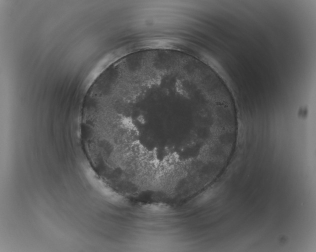 X0000113980994200910021132