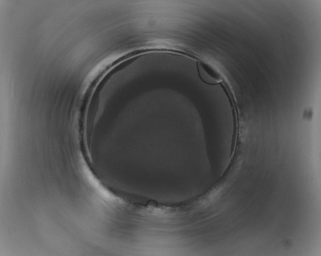 X0000113980995200910021132