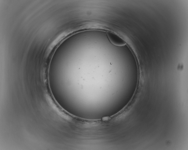 X0000113980997200910021132