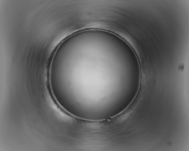 X0000113980999200910021132