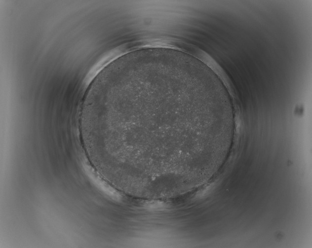 X0000113981002200910021132