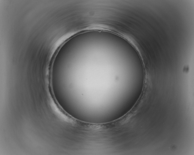 X0000113981003200910021132