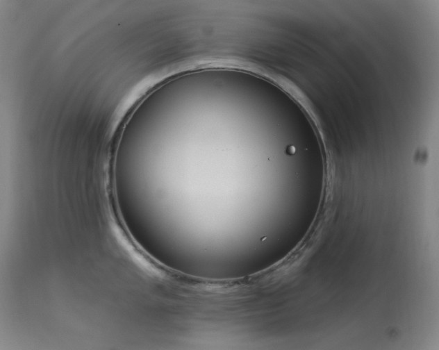 X0000113981005200910021132