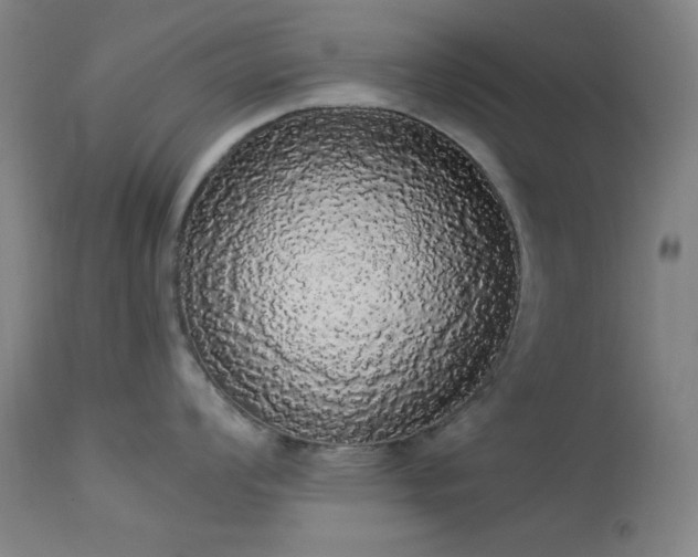 X0000113981008200910021132