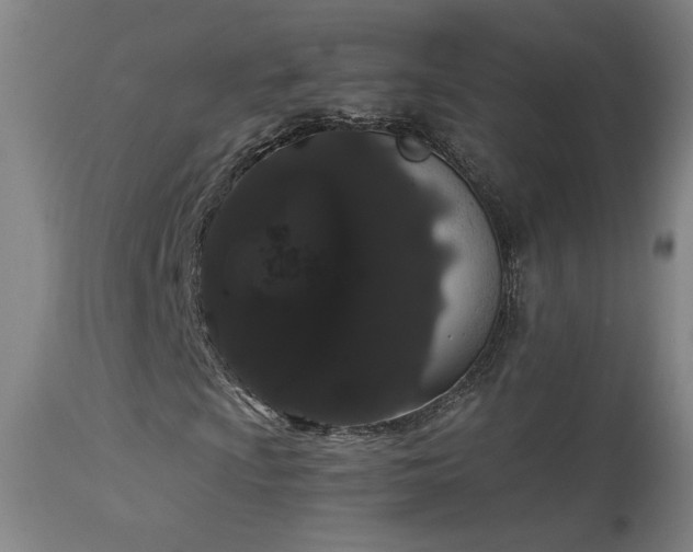X0000113981009200910021131