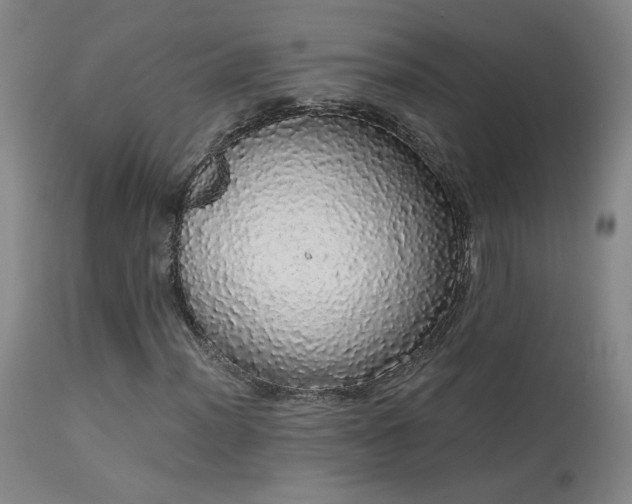 X0000113981012200910021131