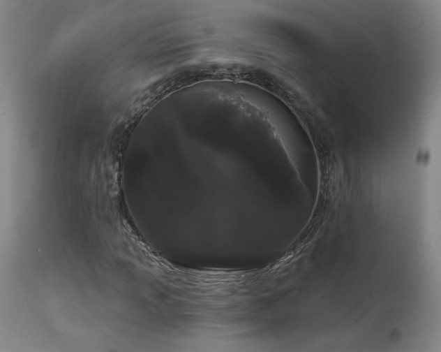 X0000113981013200910021131