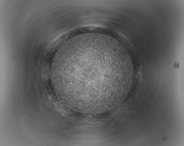 X0000113981014200910021131