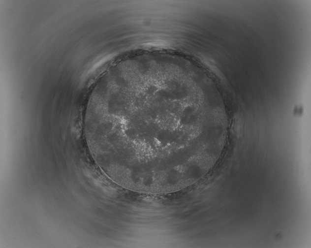 X0000113981015200910021131