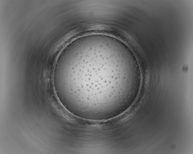 X0000113981017200910021131
