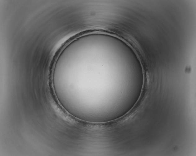 X0000113981020200910021131
