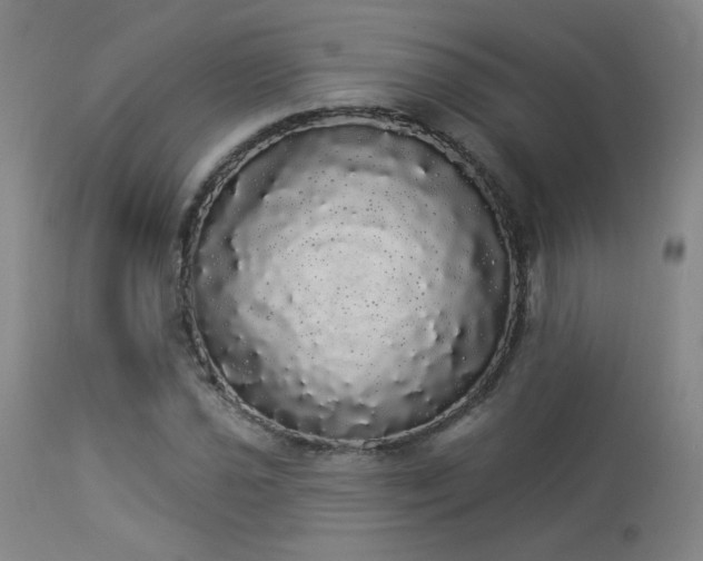 X0000113981021200910021131