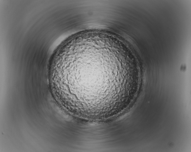 X0000113981022200910021131