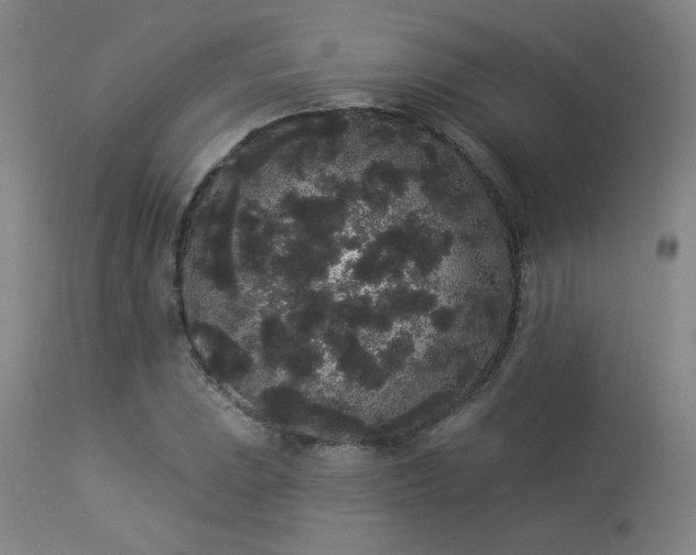 X0000113981023200910021131