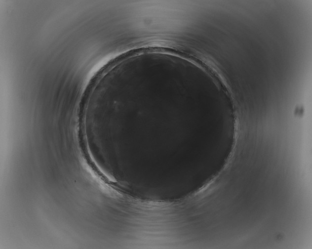 X0000113981024200910021131
