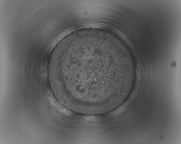 X0000113981025200910021131