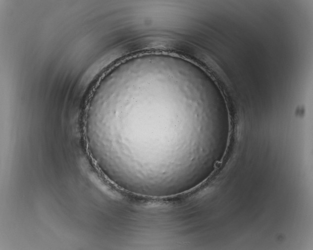 X0000113981026200910021131