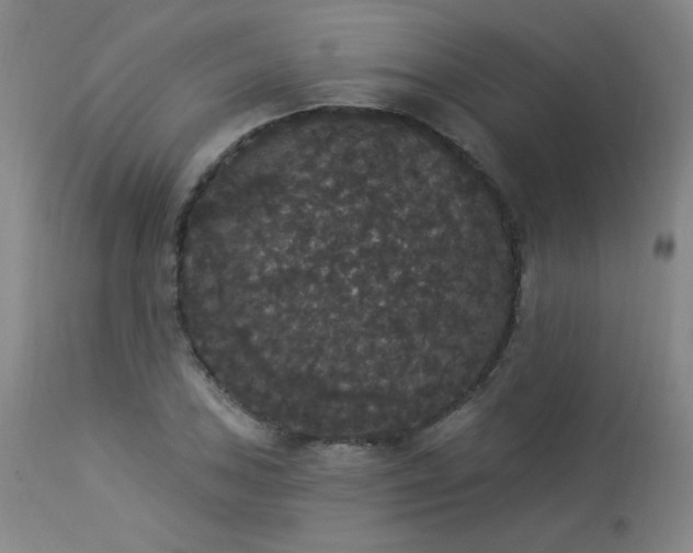 X0000113981027200910021131