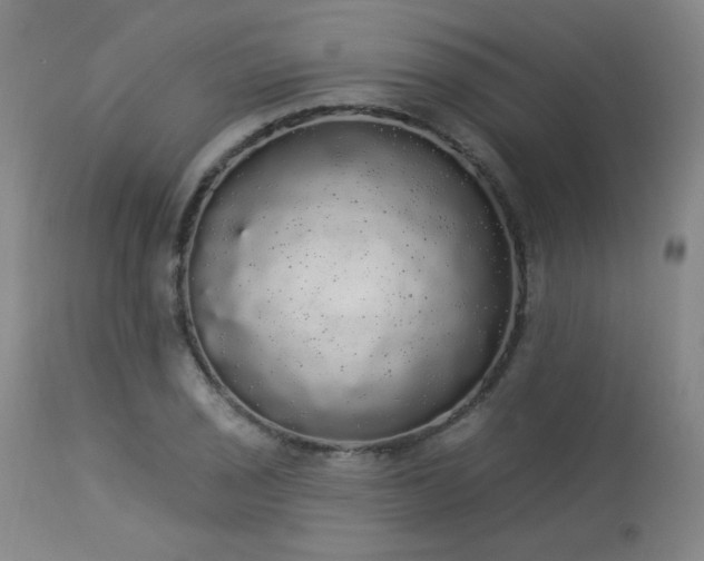 X0000113981029200910021131