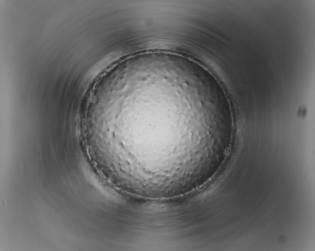 X0000113981034200910021131