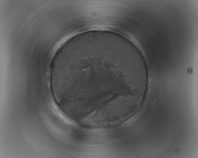 X0000113981035200910021131