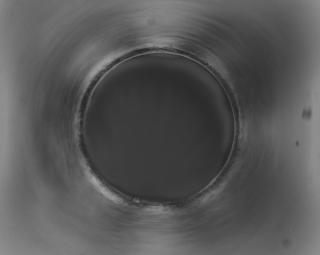 X0000113981037200910021131