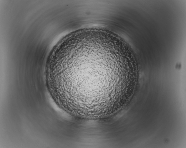 X0000113981038200910021132