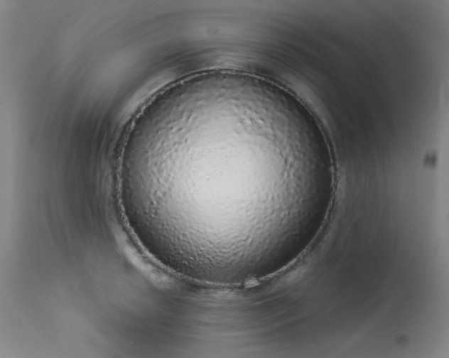 X0000113981042200910021132